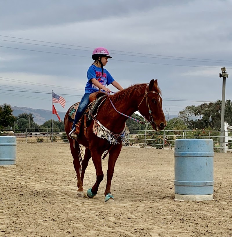Photo of SL Barrel Horses