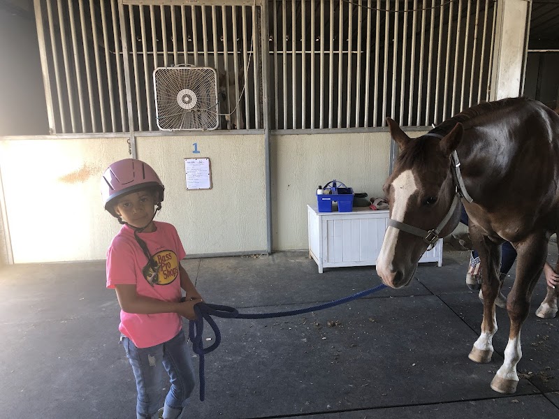 SL Barrel Horses photo 3