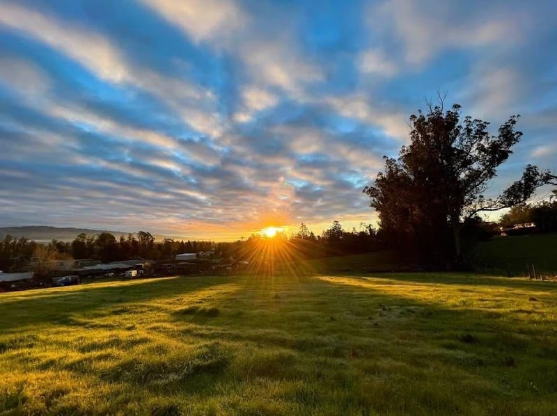 Moonglow Sonoma Ranch Retreats photo 4