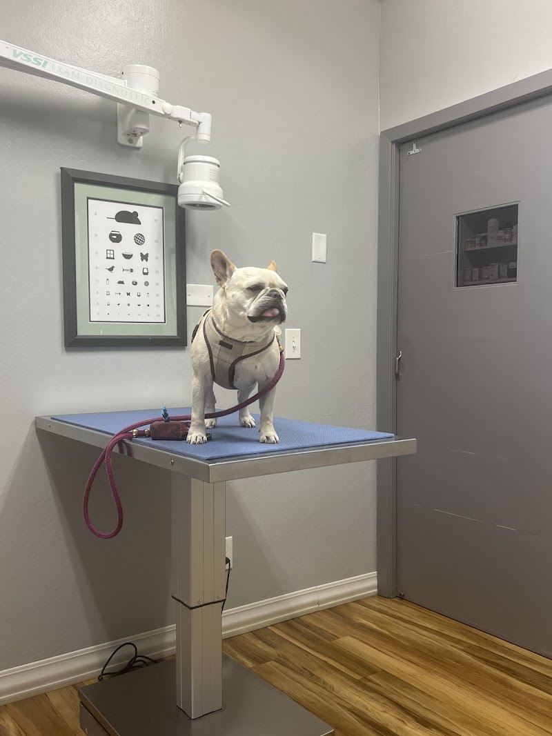 Memorial Beach Veterinary Hospital photo 5
