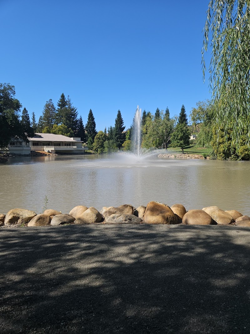 Photo of Danville Blvd and Camille Ave