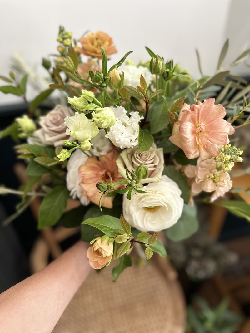 The San Anselmo Rose photo 3