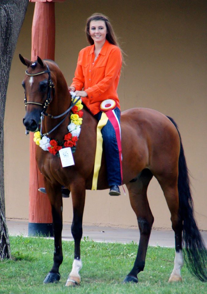 Photo of Beethe Arabians