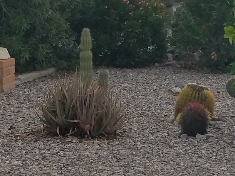 Tierra Del Sol RV Resort Association photo 5