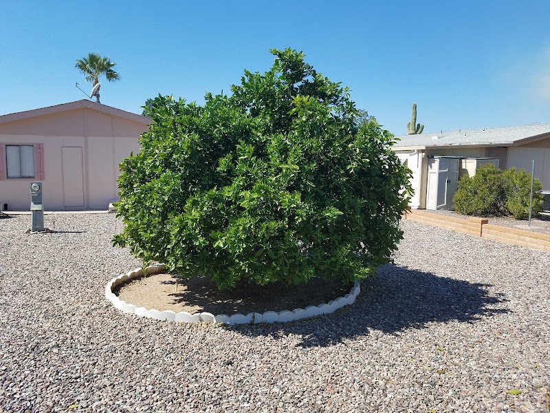 Photo of Tierra Del Sol RV Resort Association