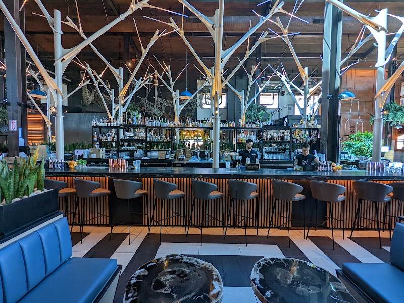 Photo of Understory Bar