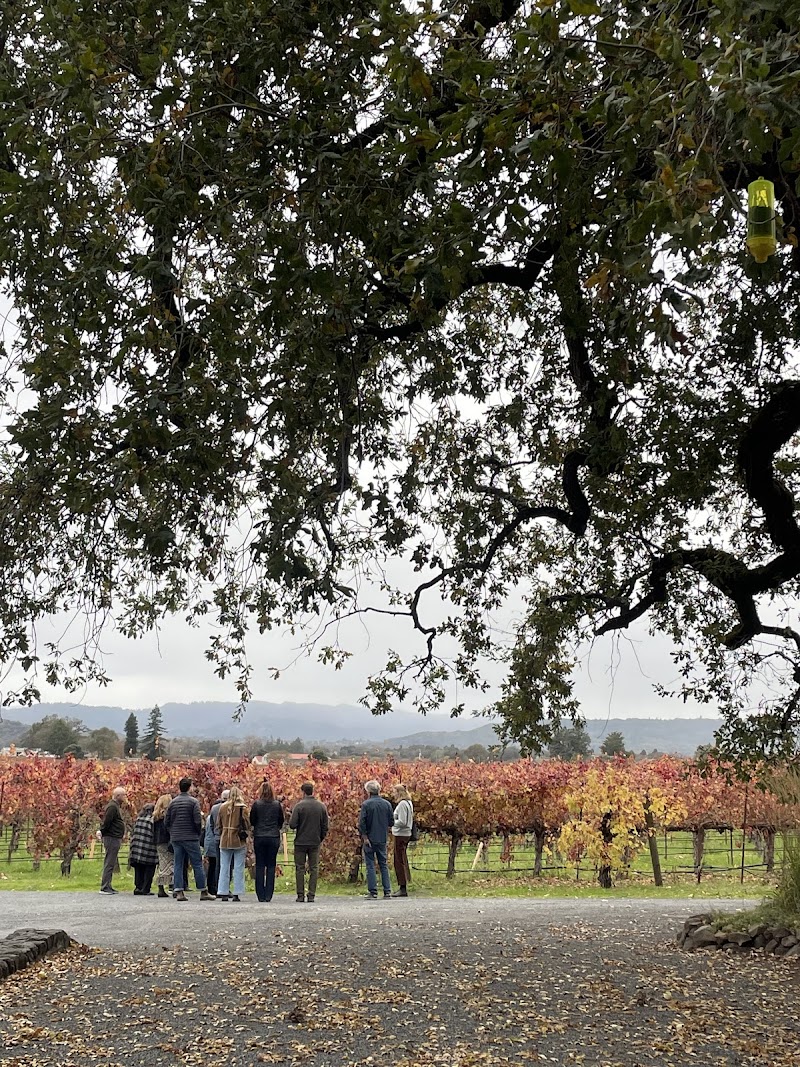 Hafner Vineyard photo 5