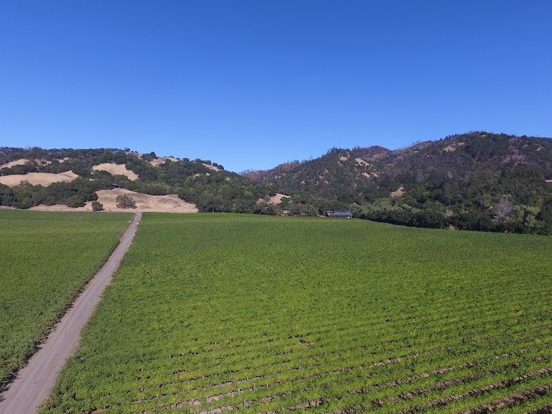 Photo of Hafner Vineyard