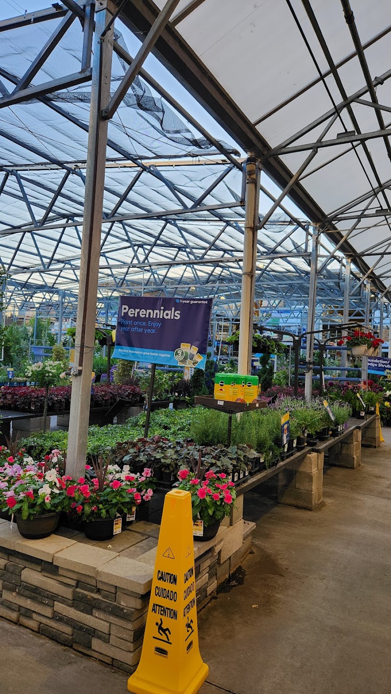 Lowe's Garden Center photo 3