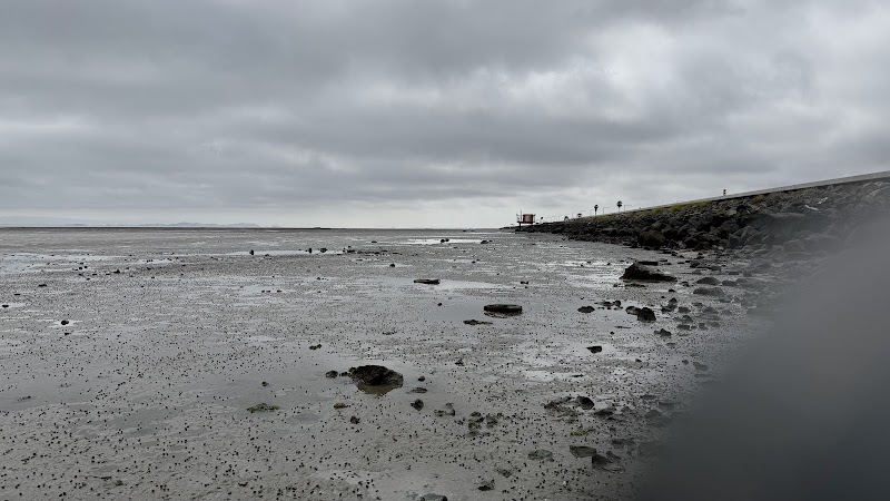 Foster City Levee photo 4