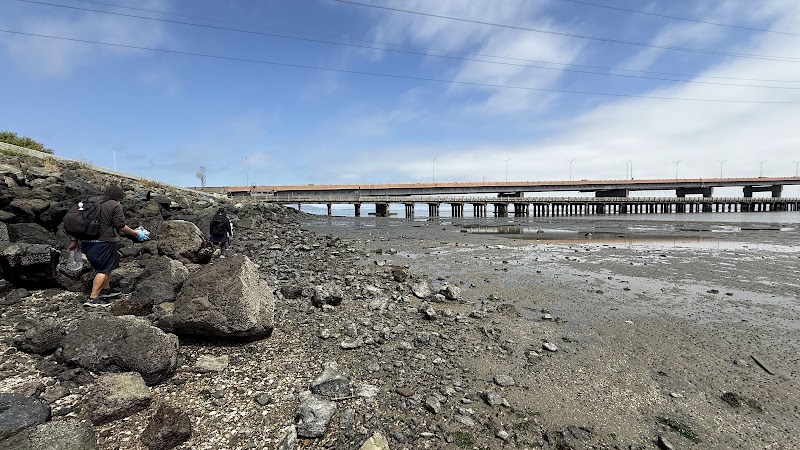 Foster City Levee photo 5
