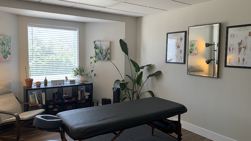 Photo of Clearwater Sports Massage