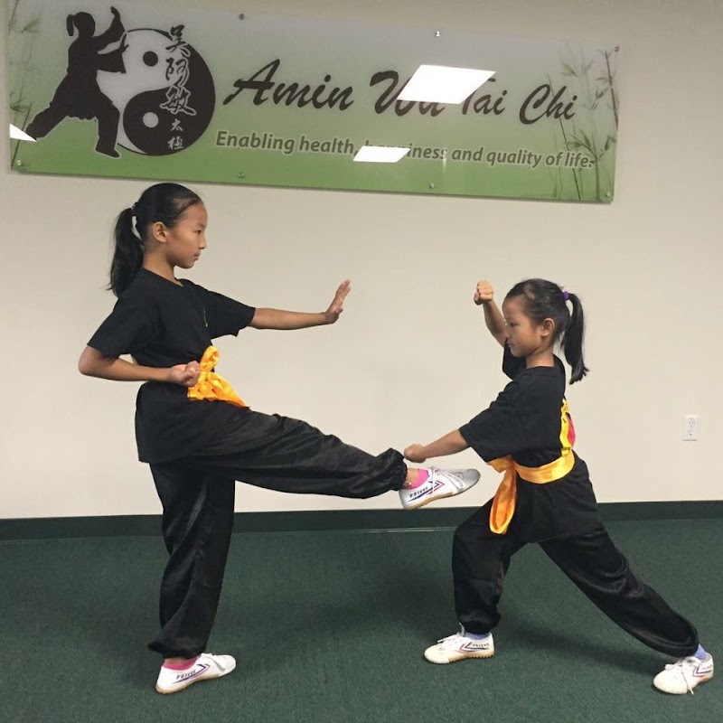Amin Wu Tai Chi photo 5