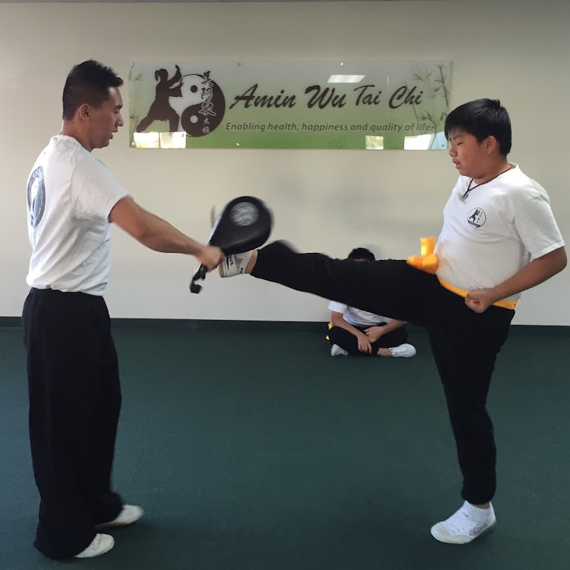 Amin Wu Tai Chi photo 4