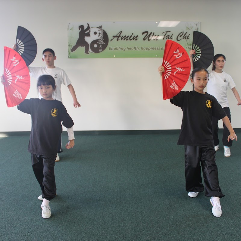Amin Wu Tai Chi photo 2