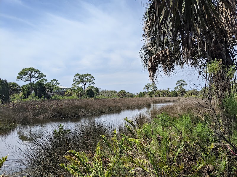Photo of Werner-Boyce Salt Springs State Park