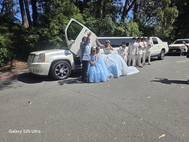 Cherry Limousine Worldwide | Corporate Transportation | Executive Car Service | Weddings Transportation | Parties I Black Car photo 5