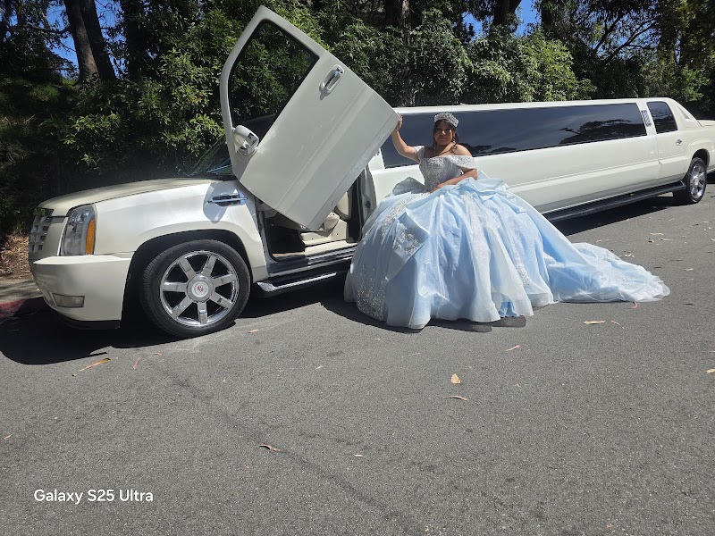 Cherry Limousine Worldwide | Corporate Transportation | Executive Car Service | Weddings Transportation | Parties I Black Car photo 2