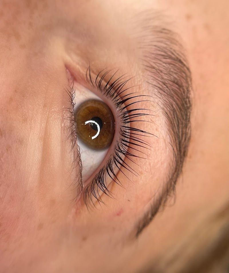 Brows & Lashes by Laura (Inside Lyndsey's Beauty Studio) photo 5