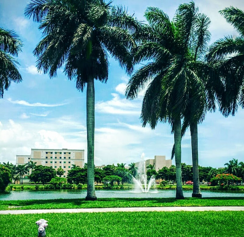 Florida Atlantic University photo 4