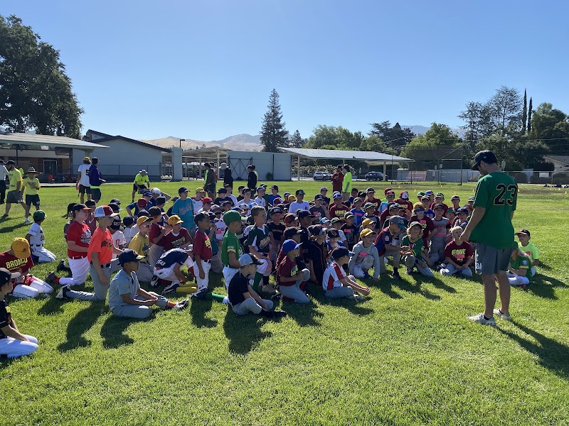 Bronco Baseball Academy photo 5