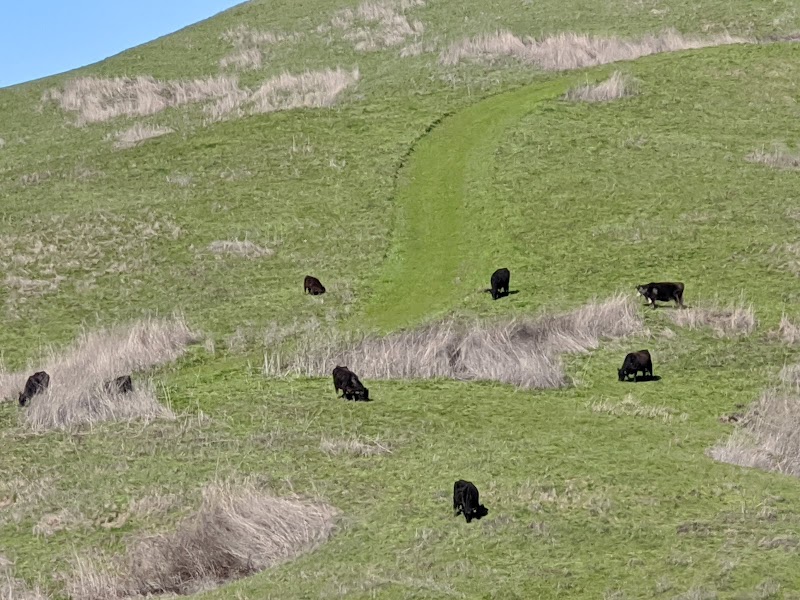 Sanders Ranch photo 2