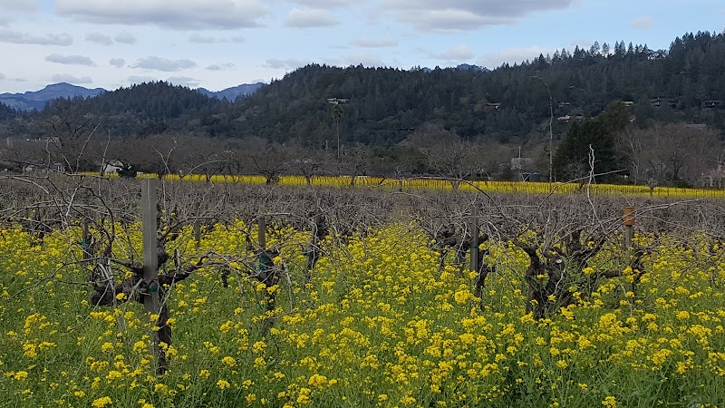 Photo of St. Helena Parks & Recreation
