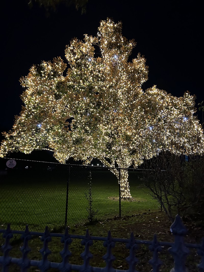 Clayton Valley Presbyterian Children's Center photo 5