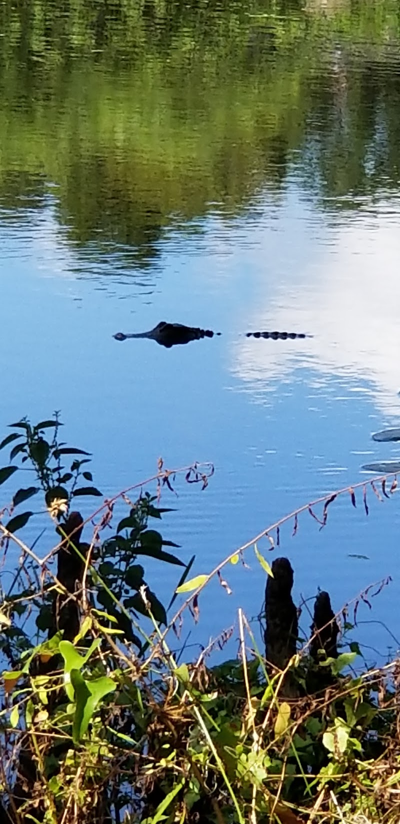 Rotary Riverfront Park photo 5