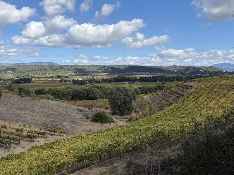 Photo of Mounts Family Winery