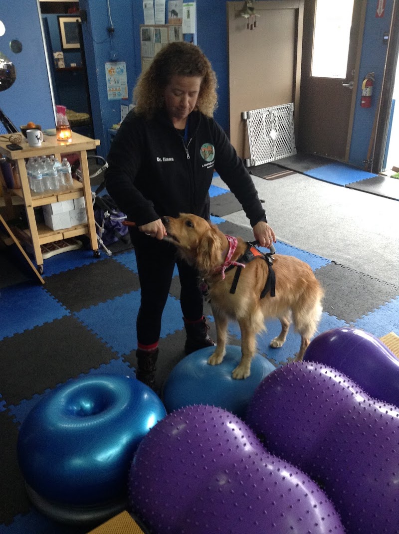 A Well Adjusted Pet, Inc. photo 2
