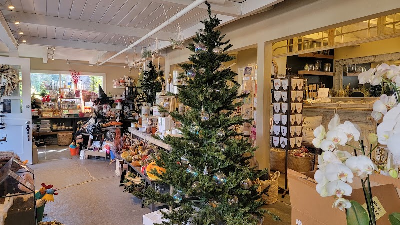 Ladera Garden & Gifts photo 3