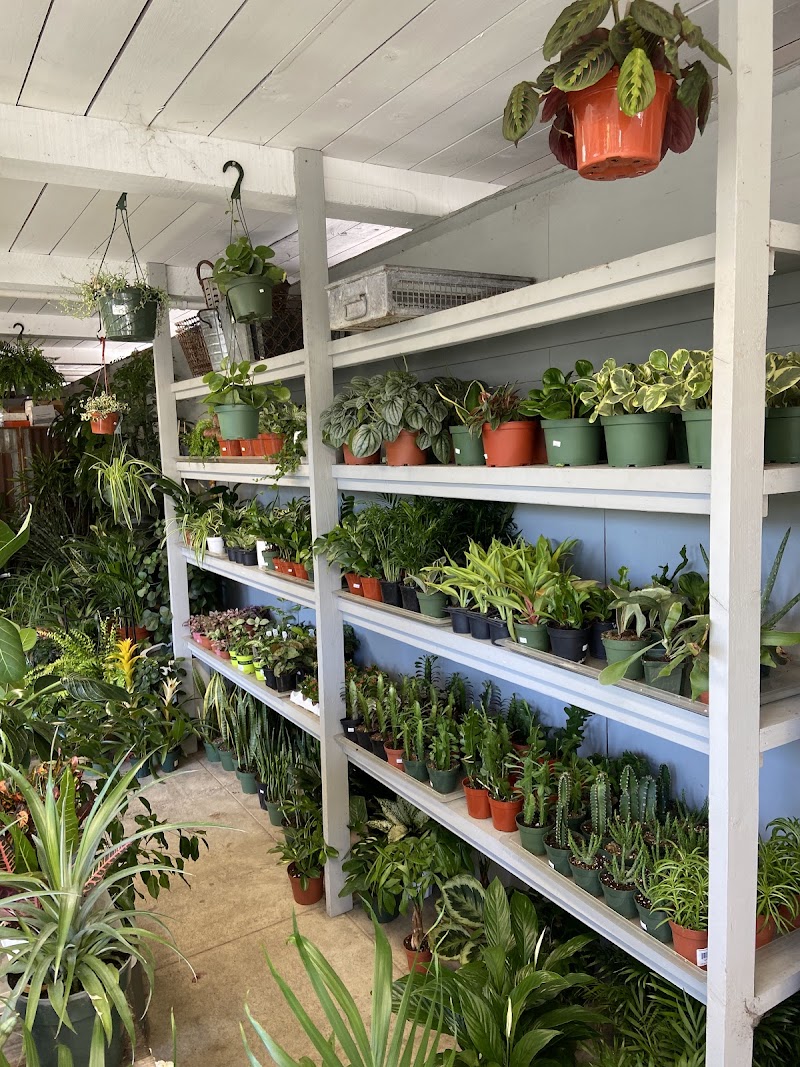 Ladera Garden & Gifts photo 5