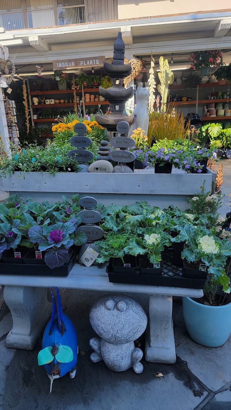 Ladera Garden & Gifts photo 4