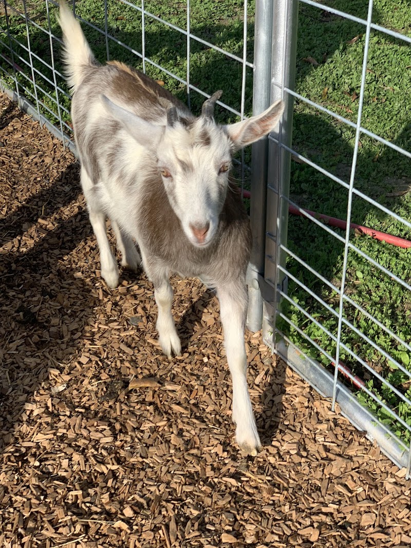 Photo of Whispering Winds Ranch and Sanctuary