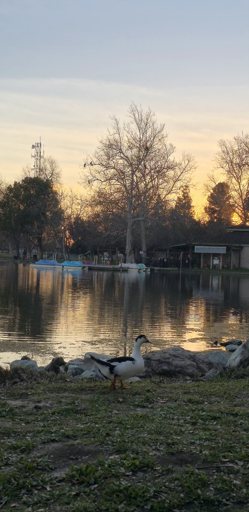 Photo of Oak Grove Lake