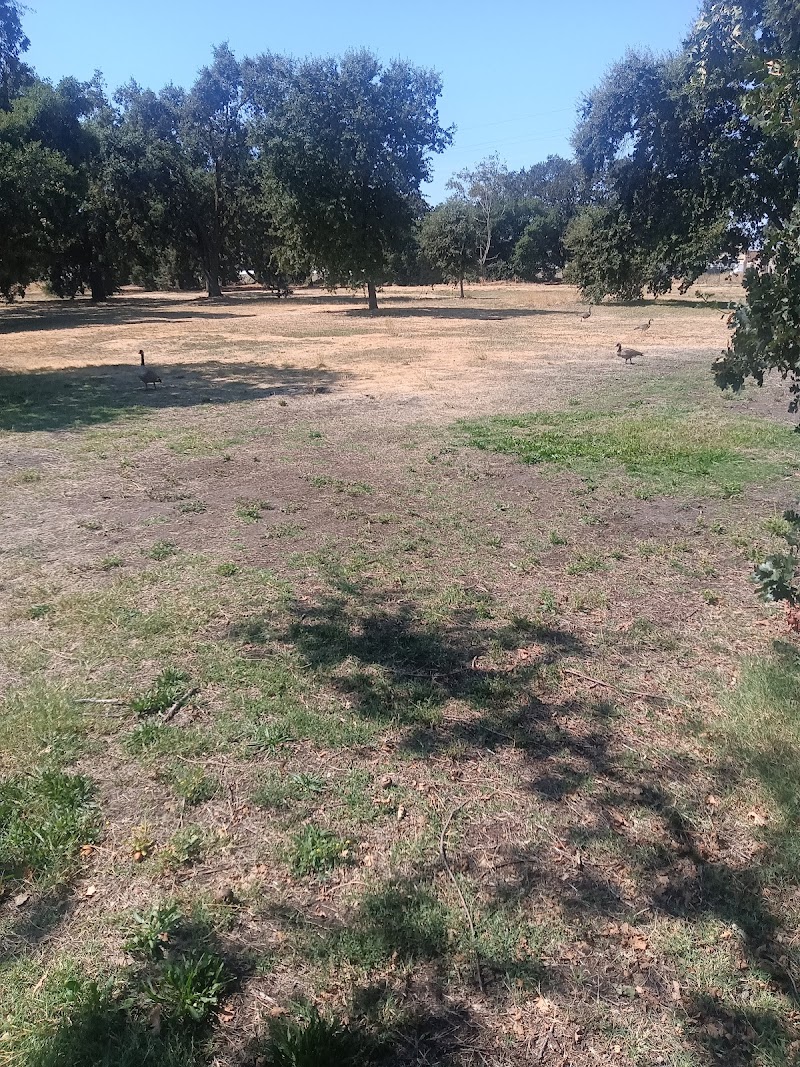 Oak Grove Lake photo 2