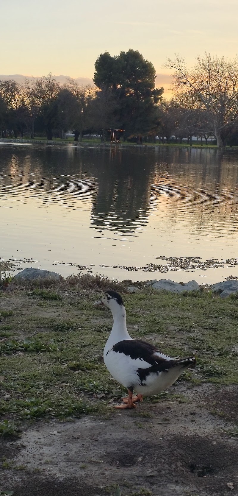 Oak Grove Lake photo 4
