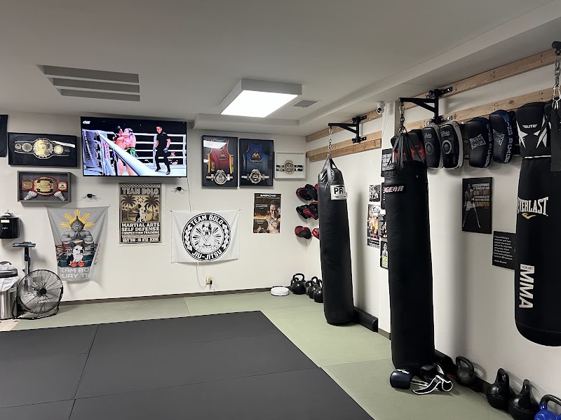 Team Bolo Martial Arts and Self Defense photo 2