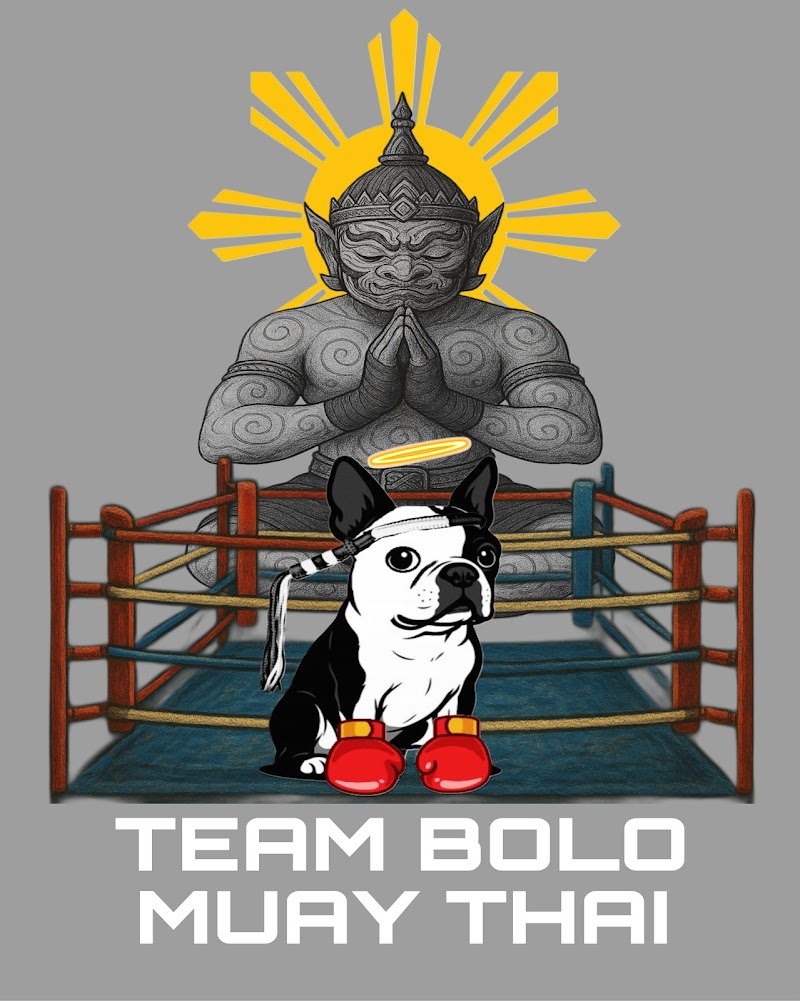 Team Bolo Martial Arts and Self Defense photo 4