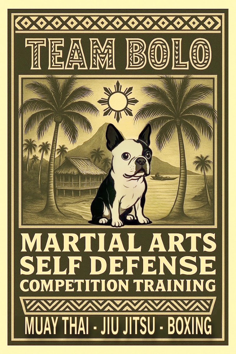 Team Bolo Martial Arts and Self Defense photo 3