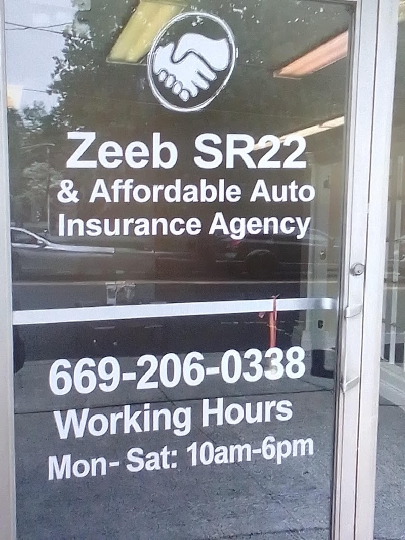 Zeeb SR22 & Affordable Auto Insurance Agency photo 3