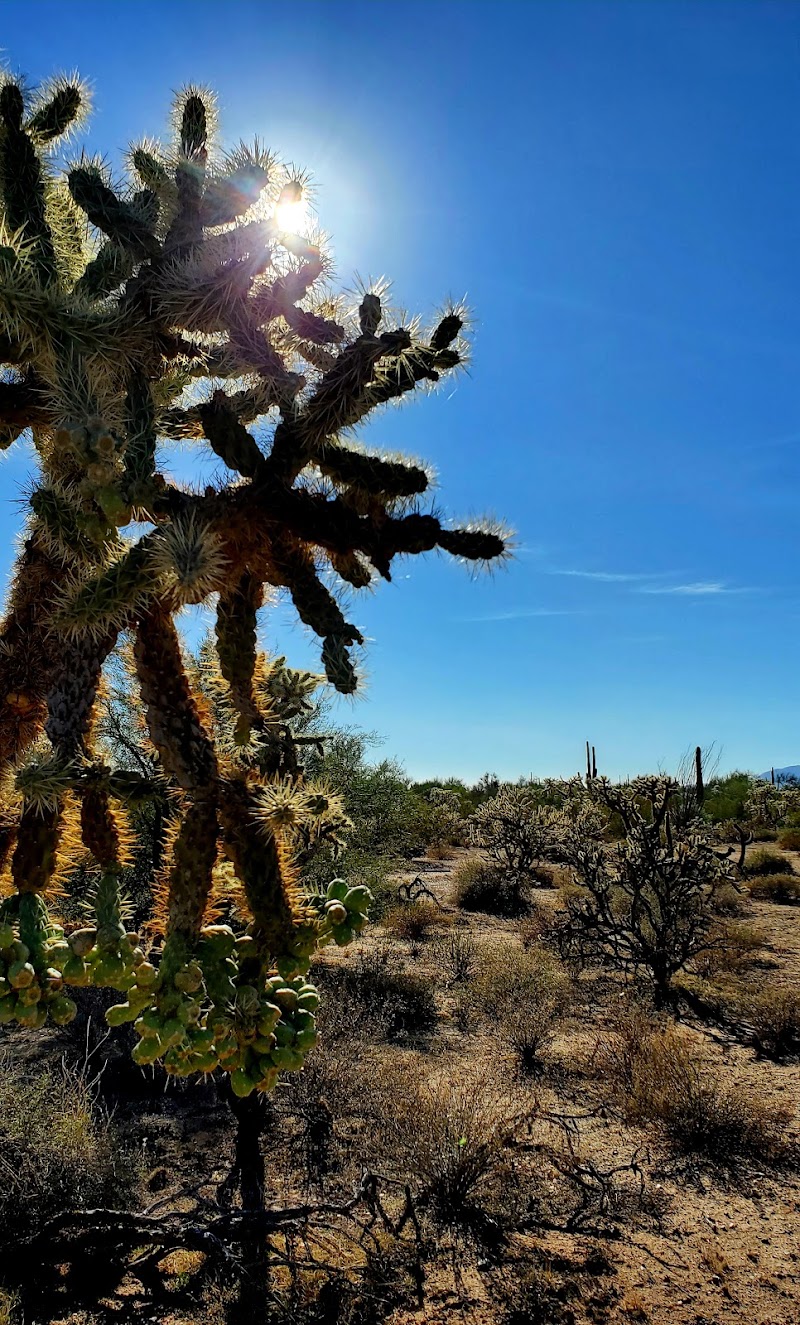 Tom Mix Memorial photo 5