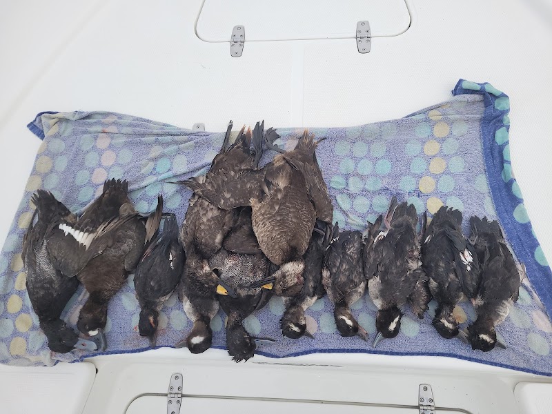 Salty Gillz Fishing Charters - Tampa Bay photo 5