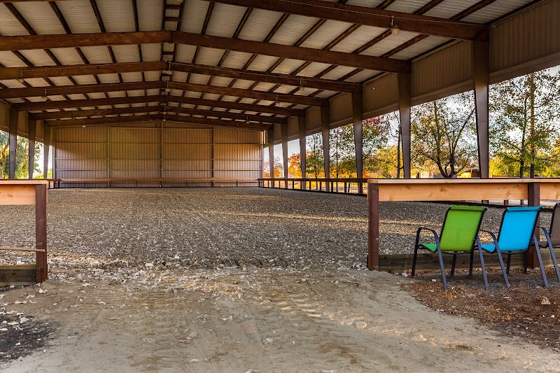 Winterhaven Sporthorses photo 4