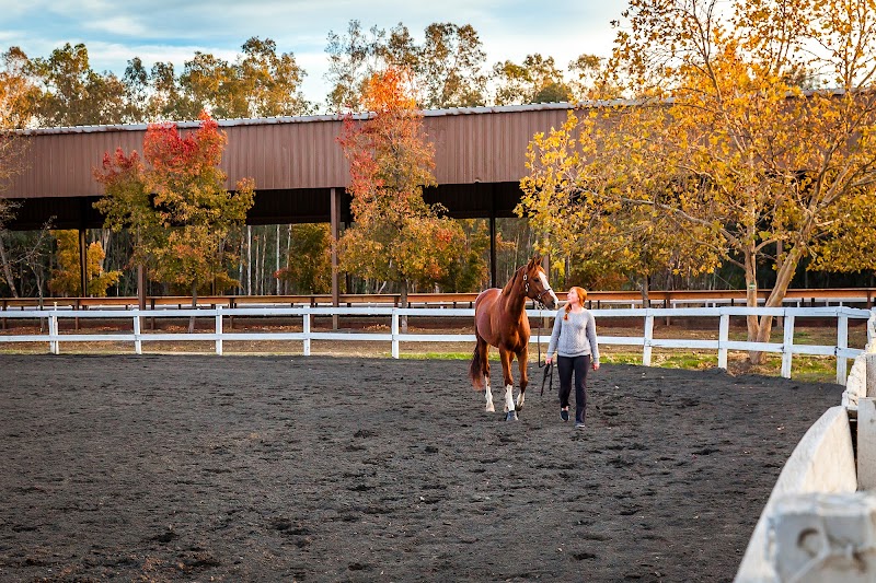 Photo of Winterhaven Sporthorses