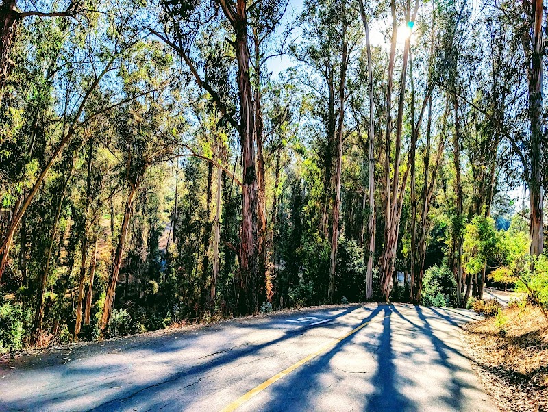 Campground Site 13 photo 3