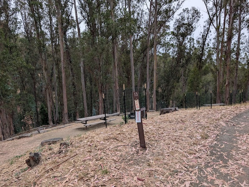 Campground Site 13 photo 4
