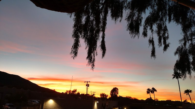 Brix Wines photo 4
