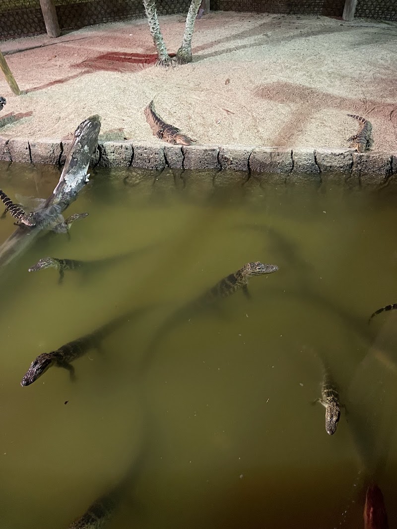 Congo River Golf photo 4
